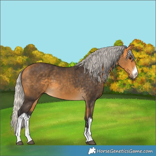 Horse Color:White Spotted Silver Buckskin 