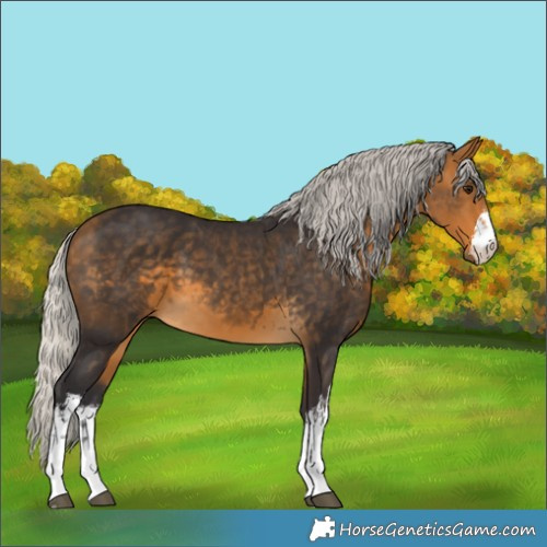 Horse Color:White Spotted Silver Buckskin 