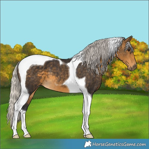 Horse Color:Silver Buckskin Tobiano 