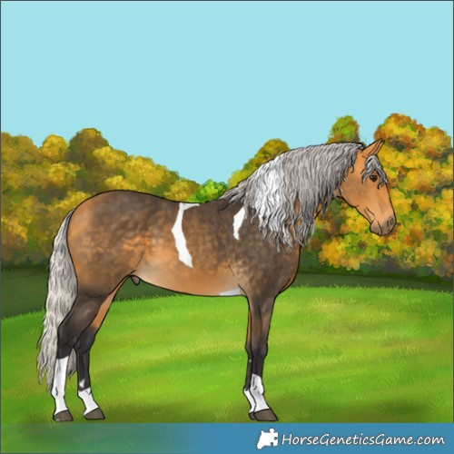 Horse Color:Silver Buckskin Tobiano 