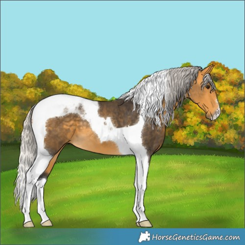 Horse Color:Silver Buckskin Tobiano 