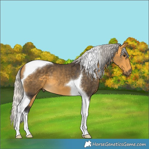 Horse Color:Silver Buckskin Tobiano 