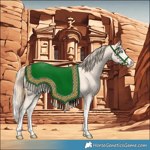 Horse Color:Perlino Splash  and Perlino Splash 