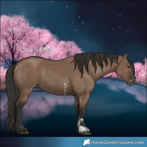 Horse Color:Liver Red Dun Sabino Varnish