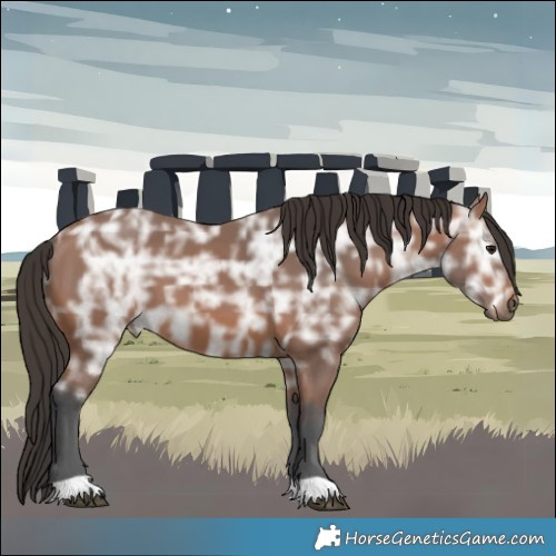 Horse Color:Bay Ice