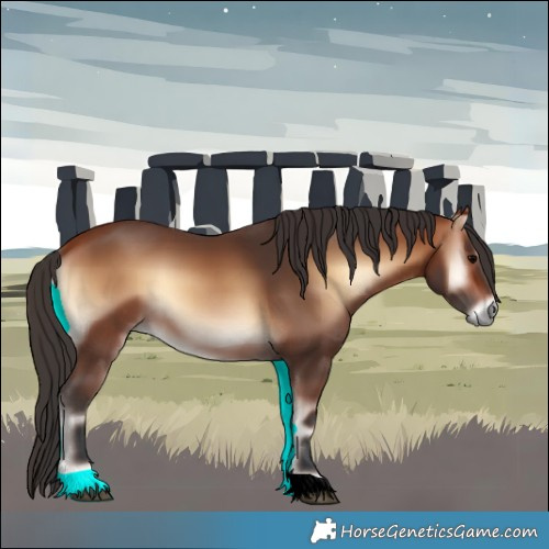 Horse Color:Bay Onyx