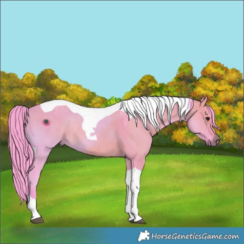 Horse Color:Watercolor Brown Dun Tobiano Rabicano 