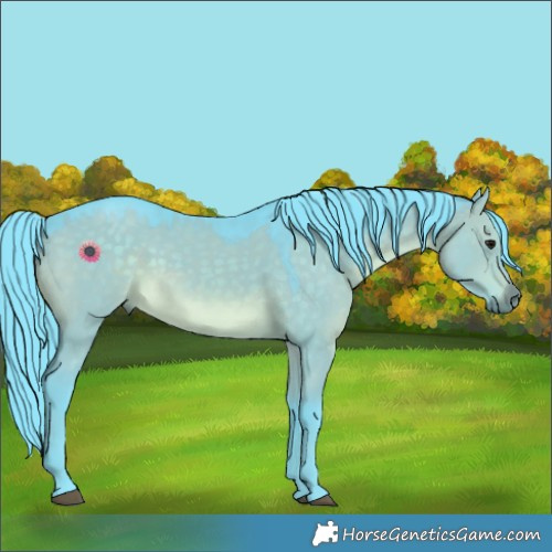 Horse Color:Watercolor Brown Dun Rabicano 