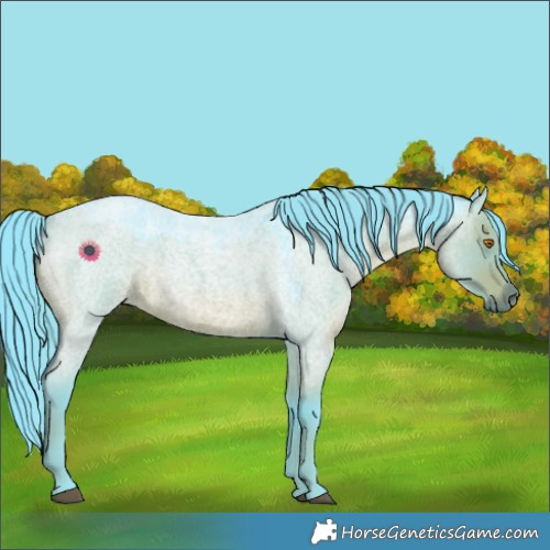 Horse Color:Watercolor Chocolate Grullo Roan 