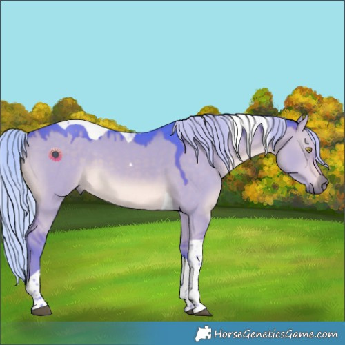 Horse Color:Watercolor Chocolate Silver Brown Dun Tobiano 