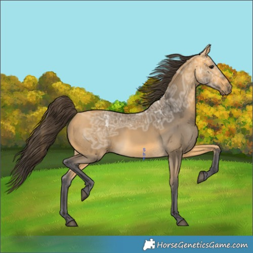 Horse Color:Buckskin Ice 