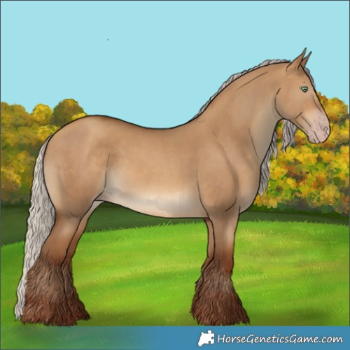 Horse Color:Gray Silver Amber Champagne Dun