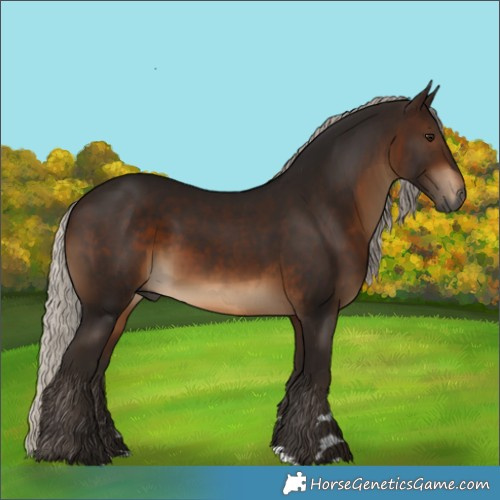 Horse Color:Gray Silver Bay