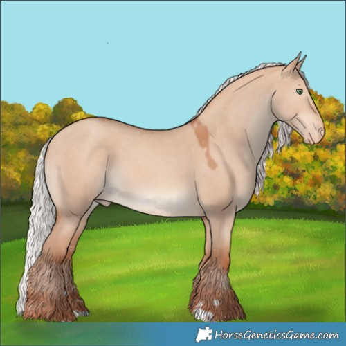 Horse Color:Silver Amber Champagne Dun Appaloosa