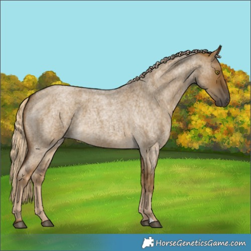 Horse Color:Chocolate Palomino Roan Dun 