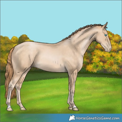 Horse Color:Buckskin Pearl 