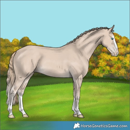 Horse Color:Smoky Creme Splash 