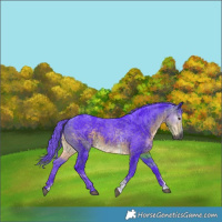 Horse Color:Gray Watercolor Buckskin Merle Sabino Rabicano
