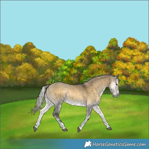 Horse Color:Silver Buckskin Onyx Sabino 