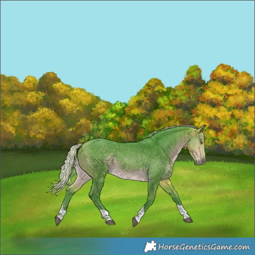 Horse Color:Watercolor Silver Buckskin Sabino Tobiano Rabicano 