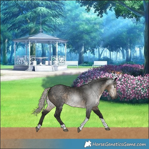 Horse Color:Gray Silver Smoky Black Tobiano 