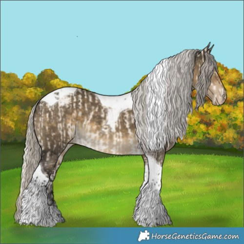 Horse Color:Silver Perlino Dun Tobiano  and Gray Silver Smoky Grullo Tobiano Appaloosa 