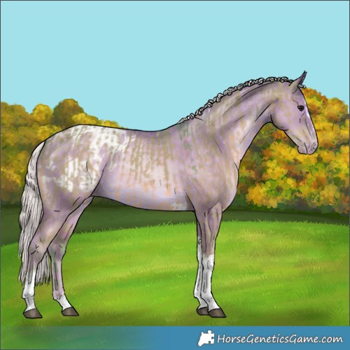 Horse Color:Watercolor Silver Grullo Splash Tobiano Rabicano  and Silver Buckskin Pearl Dun Tobiano Appaloosa 