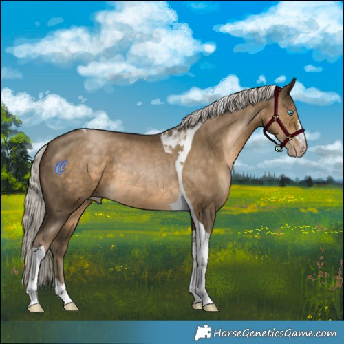 Horse Color:Gray Silver Smoky Black Pearl Tobiano 
