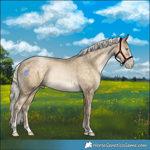 Horse Color:Silver Buckskin Pearl Rabicano 