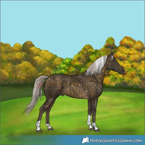 Horse Color:Silver Buckskin Tobiano 
