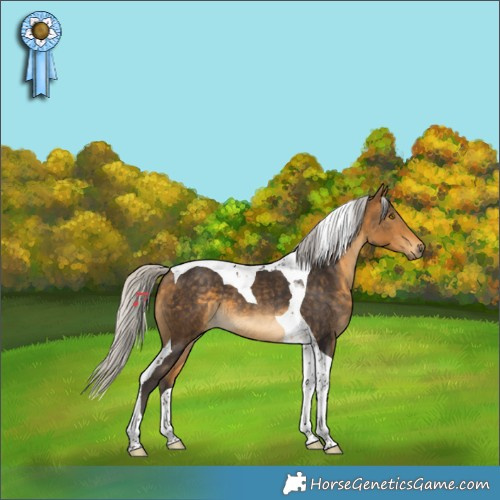 Horse Color:Silver Buckskin Tobiano 