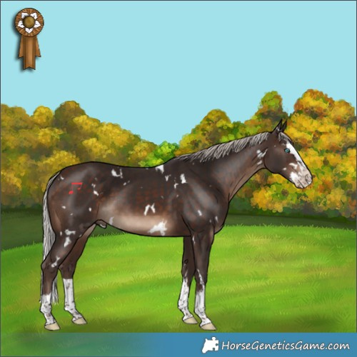 Horse Color:White Spotted Silver Bay Splash 