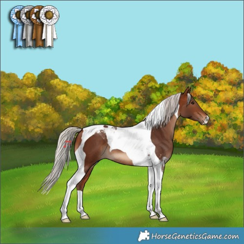 Horse Color:Silver Bay Tobiano 