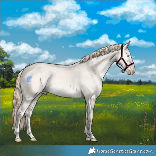 Horse Color:Perlino Dun Tobiano 