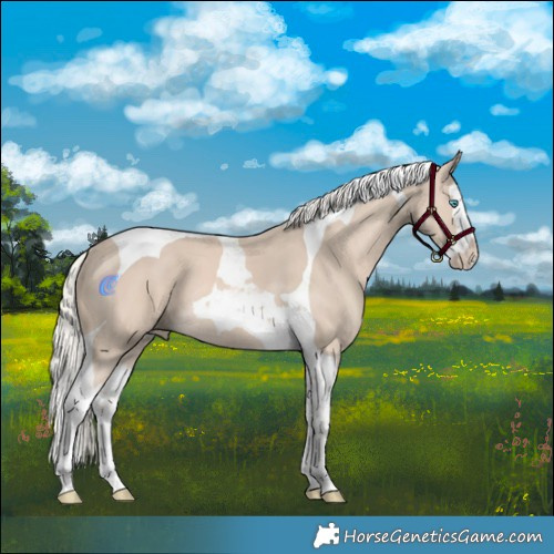 Horse Color:Cremello Splash Tobiano 