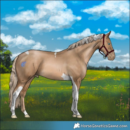 Horse Color:Chocolate Palomino Pearl Tobiano 