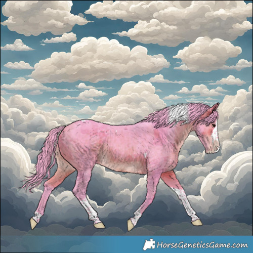 Horse Color:Watercolor Bay Merle Splash Tobiano Appaloosa 