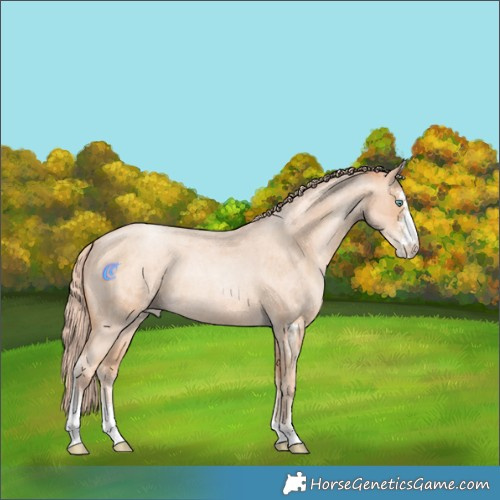 Horse Color:Sable Champagne Roan Pearl Merle Sabino Rabicano 