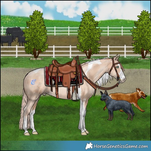 Horse Color:Sable Champagne Pearl Merle Sabino Tobiano Rabicano 