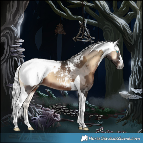 Horse Color:Gray Silver Blue Onyx Merle Tobiano Appaloosa 