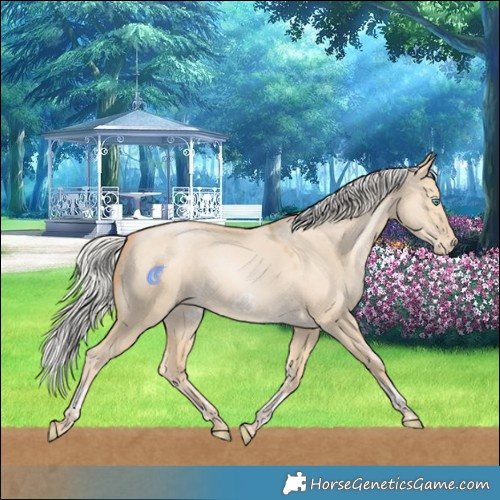 Horse Color:Silver Buckskin Pearl Dun Tobiano Frame Varnish Rabicano 