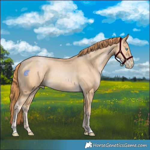 Horse Color:Buckskin Pearl 