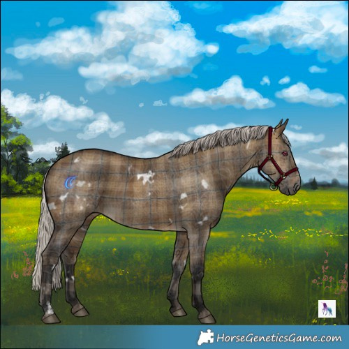 Horse Color:Gray Plaid  White Spotted Silver Brown Dun 
