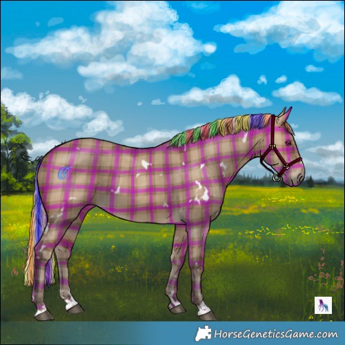 Horse Color:Painted Plaid  White Spotted Silver Brown Dun 