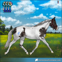 Horse Color:White Spotted Silver Brown Tobiano 