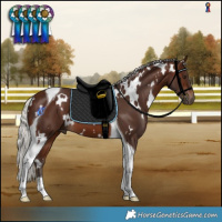Horse Color:White Spotted Silver Brown Tobiano