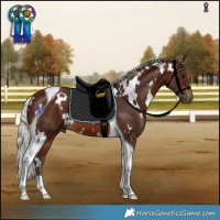 Horse Color:White Spotted Silver Brown Tobiano 