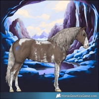 Horse Color:Silver Black Sabino Tobiano 