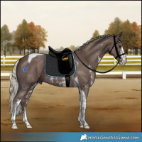 Horse Color:Silver Black Sabino Tobiano