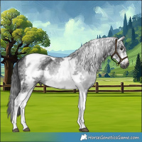 Horse Color:Gray White Spotted Smoky Black Tobiano Frame 